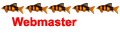 Administrateur