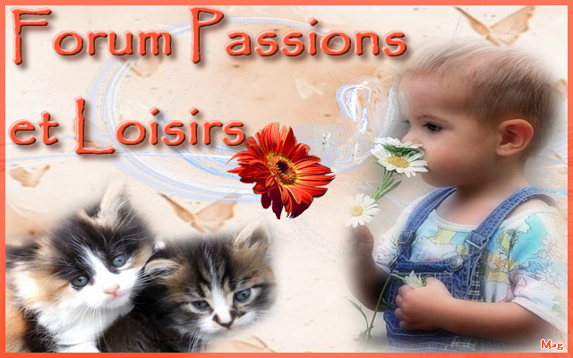forum d echange sur les loisirs creatifs