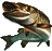 http://img10.xooimage.com/files/0/f/6/brochet48pixels-14aabc.gif