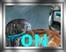 Log in