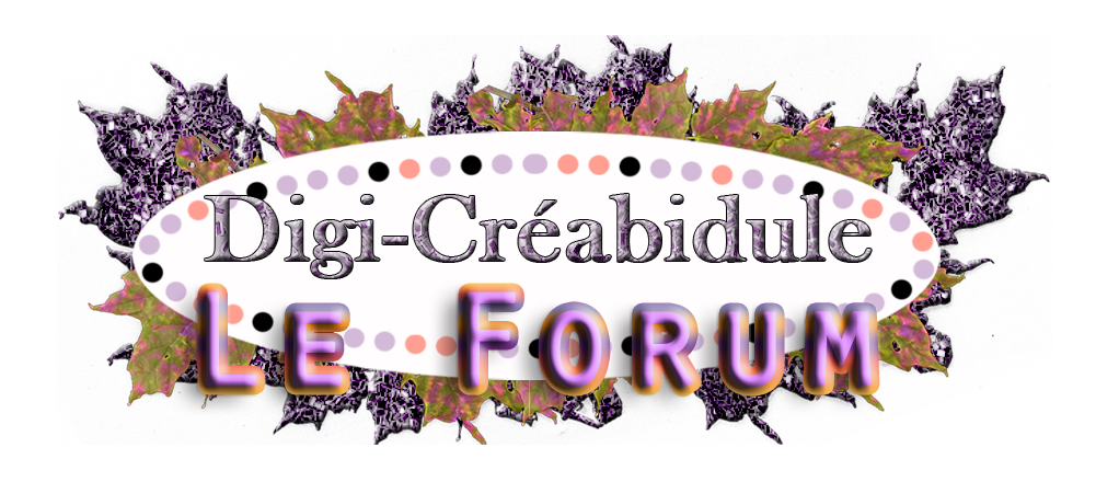 Digi'Créabidule - Le Forum Forum Index