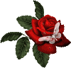 View latest post