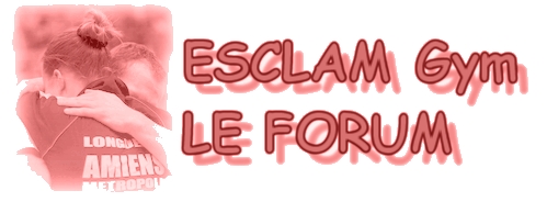  Forum Index