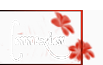 Log in