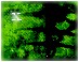 Ce forum est verrouillé; vous ne pouvez pas poster, ni répondre, ni éditer les sujets. Ce forum est verrouillé; vous ne pouvez pas poster, ni répondre, ni éditer les sujets.