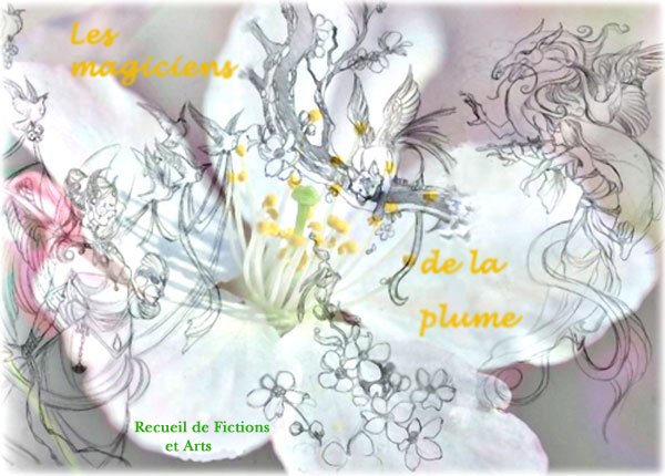Les Magiciens de la Plume Forum Index