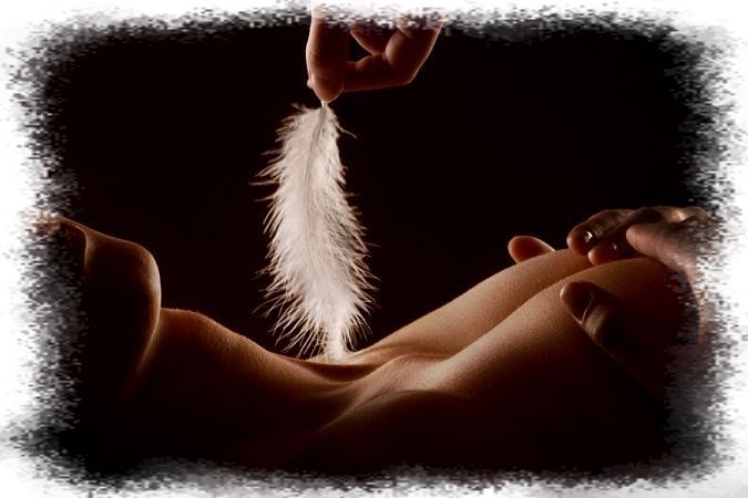 passion-photo-amateur Index du Forum