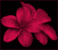 New posts [ Locked ]