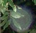 New posts