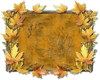 123, comptons les croix. Forum Index