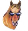 Forum is locked