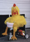 Le canard