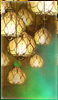 No new posts