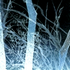 No new posts [ Locked ]