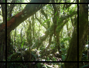 http://img10.xooimage.com/files/4/f/5/untitled-2-e665b7.png