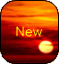 New posts