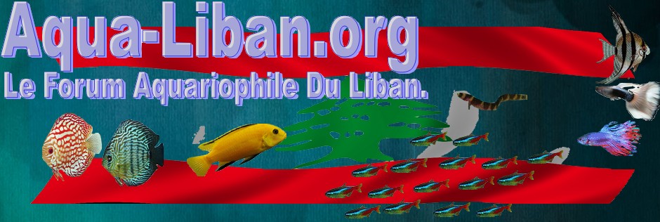 Aqua-Liban Forum Index