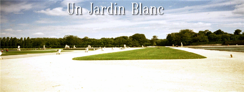 Un Jardin Blanc Forum Index
