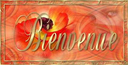 CELENYA PASSION Forum Index
