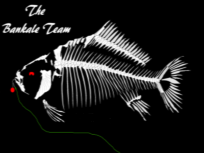 The Bankale Team Forum Index