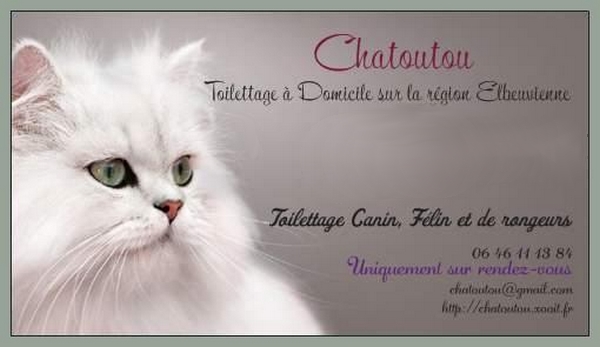 pension chien et chat en famille d'accueil