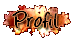 Voir le profil de l'utilisateur