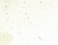 No new posts