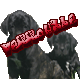 Forum is locked