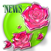 New posts