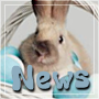 New posts