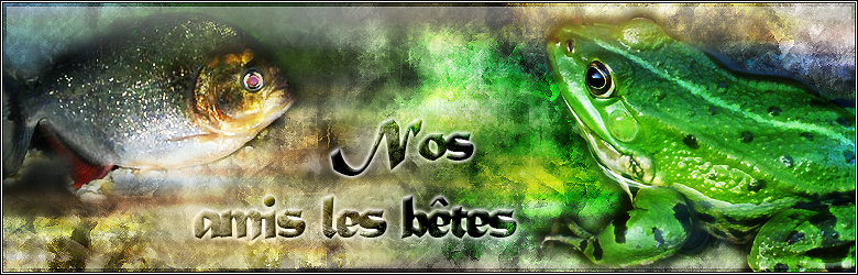 Nos amis les betes Forum Index