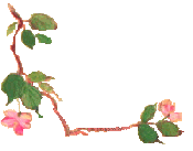 New posts