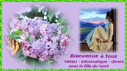 Bienvenue sur le forum de Magali. Welcome Forum Index