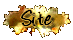 http://dwdestiny.forumactif.com