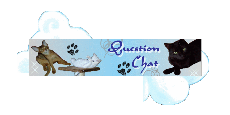 QuestionChat Forum Index