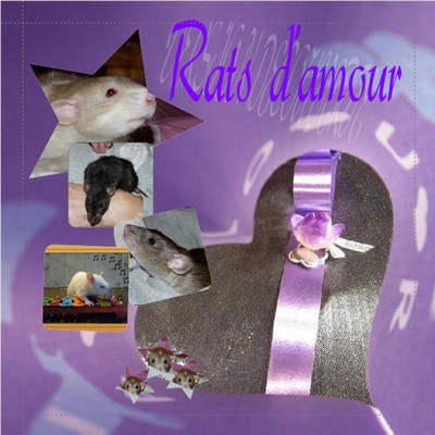 rats-d'amour Forum Index