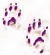Shubenca -Lovely Ferrets- Forum Index