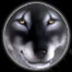 Forum is locked