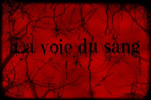Pas de nouveaux messages