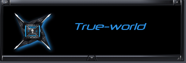 The True world Forum Index