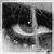 New posts [ Locked ]