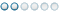 Membre Inferieur