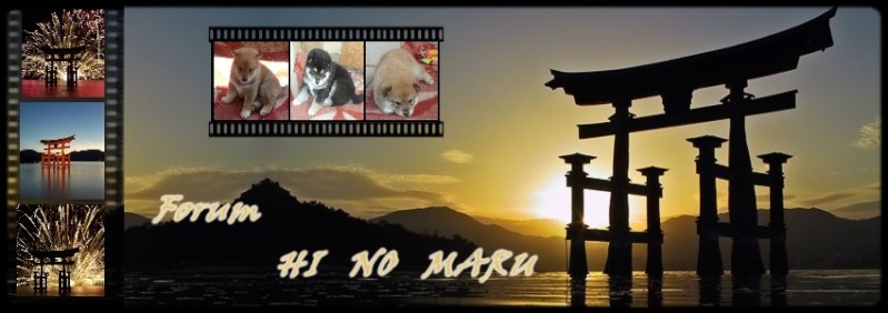 FORUM HI NO MARU Forum Index