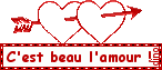 Logo personnalisable sur demande