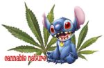 cannabis