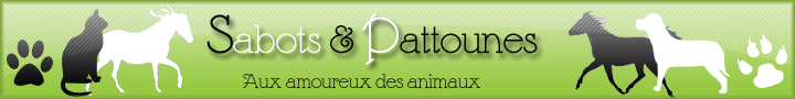 Sabots & Pattounes Forum Index