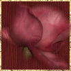 No new posts [ Popular ]