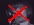 No new posts [ Locked ]
