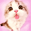 chat
