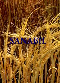 sanabil Forum Index